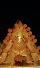 B0DF81C9-F299-4896-A8CD-C5230CC70C77/L0/001