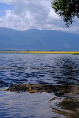 16CF58FF-2AB0-4C7C-B41C-40E078F83F00/L0/001