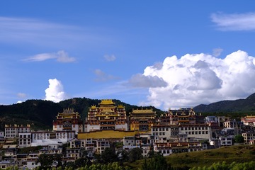 424DE345-4B9F-4B9D-B4A8-0114449EF0D2/L0/001