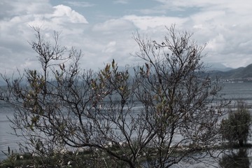 1374DC8C-EBD5-4B6D-9915-5779131E61D2/L0/001