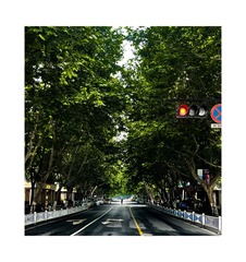 CFF5F05D-504D-4E38-AC86-4C10CDC307F7/L0/001