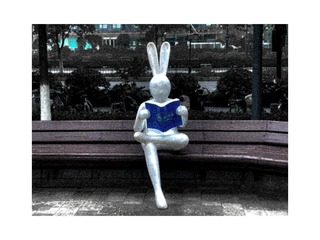 C986F354-3777-4D50-9BD7-8C1B356A2C3B/L0/001
