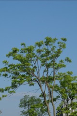 6FC3C8AF-83D1-4C18-B38F-B52395F82B17/L0/001