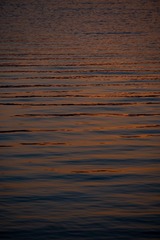 CC692085-9501-48F6-917E-819EE509F666/L0/001