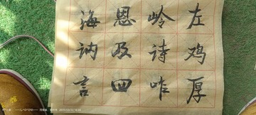 1000486668