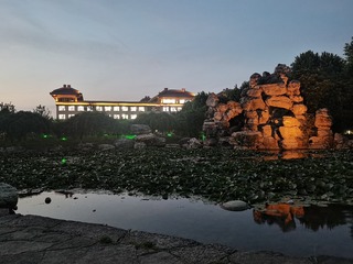 15061
