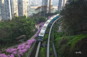3390522
