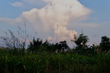 FF5666C9-47C9-4769-BE54-AEF215595F71/L0/001