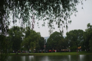 8913D424-D7D8-4921-8147-AE1B78CCECD1/L0/001