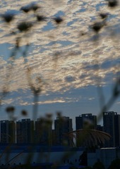 418302C6-8C6A-4479-BFB6-6CF4BE4986FF/L0/001