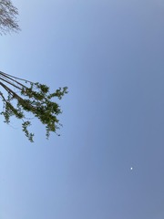 E77943AD-F245-4D2C-9BF0-98DC737829E2/L0/001