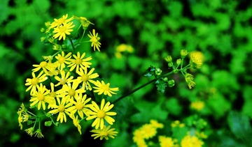 F1D8566E-3F51-472F-A5FF-1FB106982DB6/L0/001