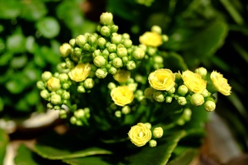 D2AA63B5-93FD-404F-A480-006875F3FDD4/L0/001
