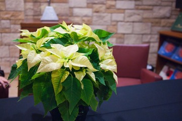 PC040108