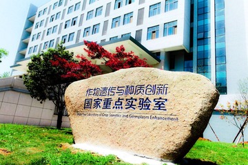 IMG_8832_1.JPG