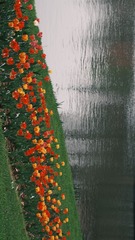 E0002057-073B-4162-9A17-351232650E00/L0/001