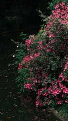 DC5A76F3-6872-4306-BC85-556923699DB3/L0/001