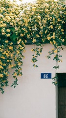 B5DA5BBB-1F0E-4E0F-B4B4-3319DD96A13B/L0/001