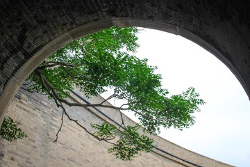 F2E8D3B2-B62B-48CB-A20A-696CD9EFD616/L0/001