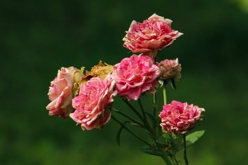 4D5A0F33-1D3A-4929-9CF6-48D9E4E979F7/L0/001