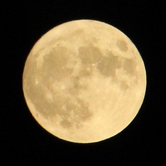 E7D31390-C4A3-40EB-8B99-06451985A663/L0/001