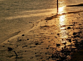 F67245D6-AE36-4030-99AB-98D2D4072931/L0/001