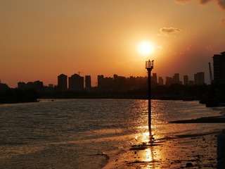 C8A81117-C40A-40FB-8E56-620AD598410B/L0/001
