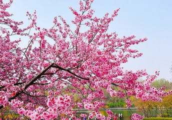 6AAE8DDD-D80E-4B6E-8000-6BCAE5770A5F/L0/001