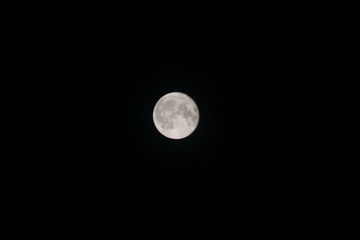 348394