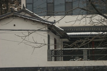 295521