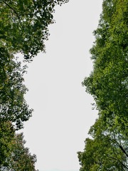 93AD8ED6-7B28-48E9-8DD9-673160F733F6/L0/001