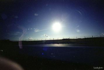 274.jpg