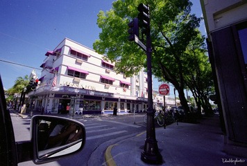 229.jpg