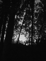 21021C57-E215-4708-AC80-E42C5B1F81BE/L0/001