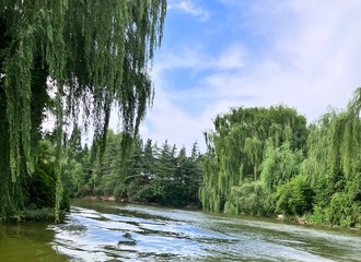 4A280518-D05C-4E95-8AC0-6868B8DB168F/L0/001