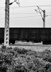 0AC07676-8E43-4A0B-ABDE-41150CF3273F/L0/001