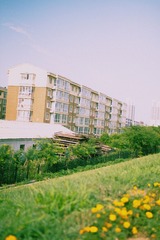 20130712-IMG_15541.jpg