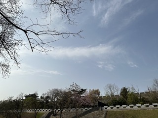 5F539F3D-7BC0-4735-9EEE-734C5DCAE7F2/L0/001