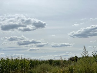 D9E538B9-EB96-45F6-9973-CE51EA3B75DB/L0/001