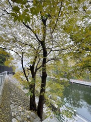 56354E72-3C22-426B-9211-4B1217911420/L0/001
