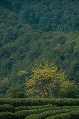 146DDD9A-002C-4C99-B663-9EBDDC31AF0A/L0/001
