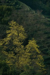 F14EF67F-F21A-450C-A776-F339DD807327/L0/001