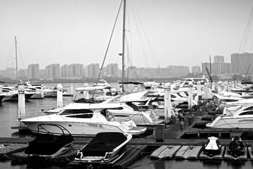 D8H_7470