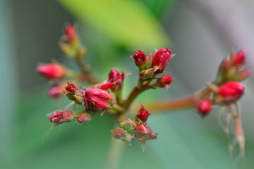 D8H_7561