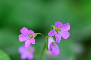 D8H_7707