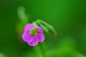 D8H_7716