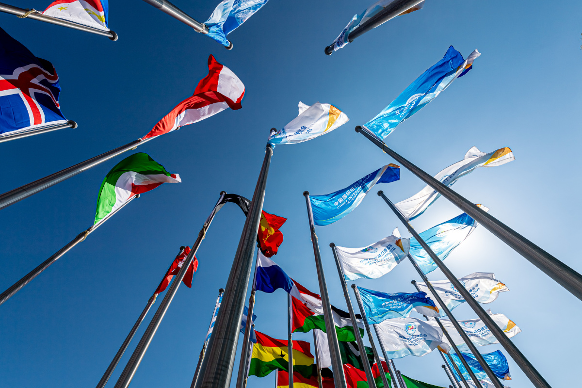 第四届中国国际进口博览会旗林