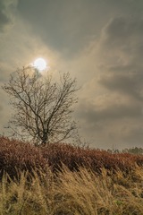 33656
