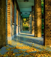 Autumn