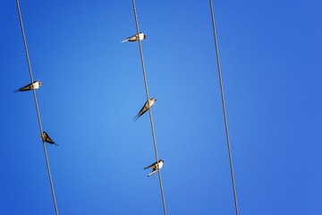 _DSC8385.jpg
